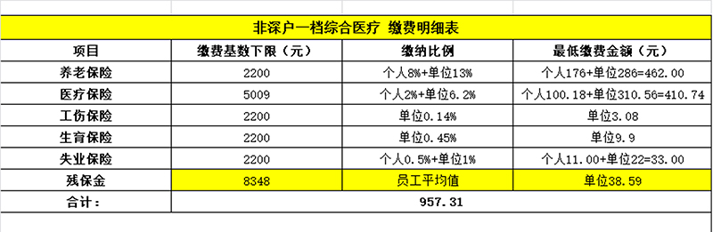 非深户一档综合医疗缴费明细