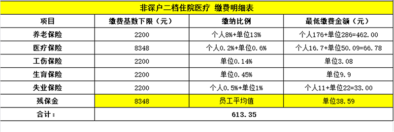 非深户二档综合医疗缴费明细