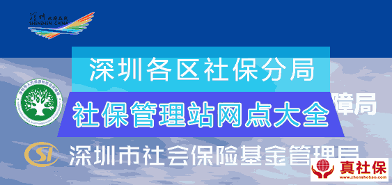 深圳各区社保分局及管理站办事地址与联系电话大全