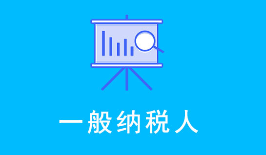 一般纳税人报税
