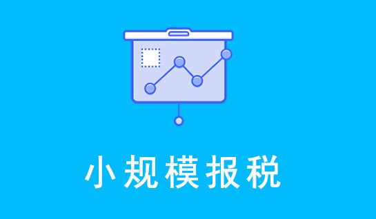 小规模报税