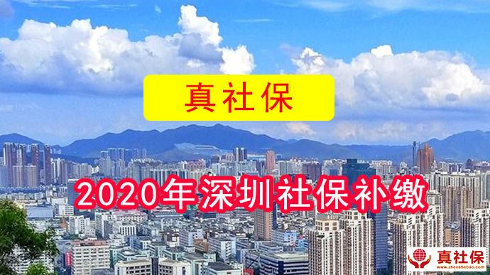 2020年真社保补缴深圳社保