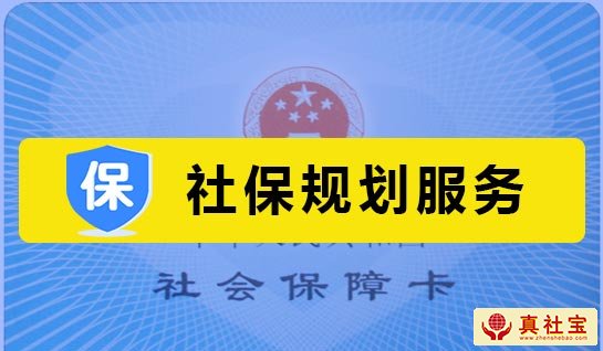 社保规划服务