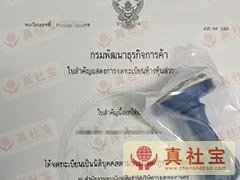 帮中国客户申请泰国DBD营业执照案例