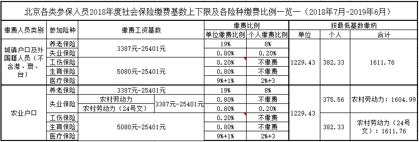 北京各类参保人员2018年度社保缴费明细