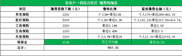 非深圳户口社保1档缴费明细表