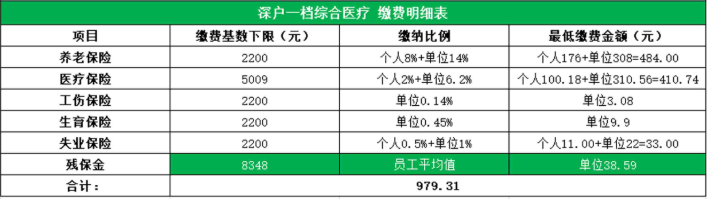 深圳户口社保1档缴费明细表