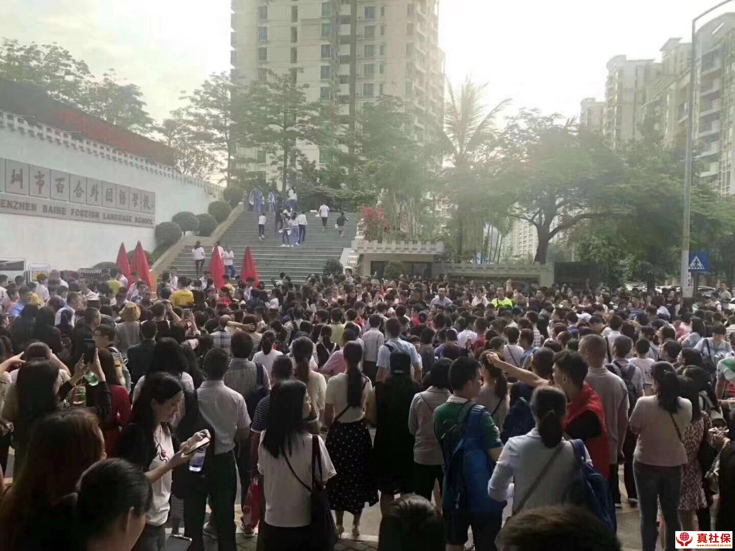 深圳没有社保小孩上学怎么办，别输在起跑线上