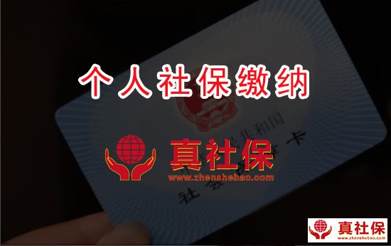 个人社保缴纳没满15年的人