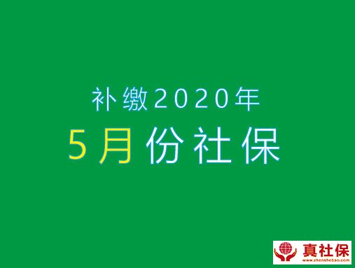 补缴2020年5月份社保