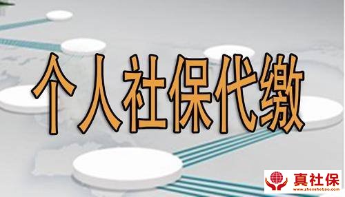 社保代缴