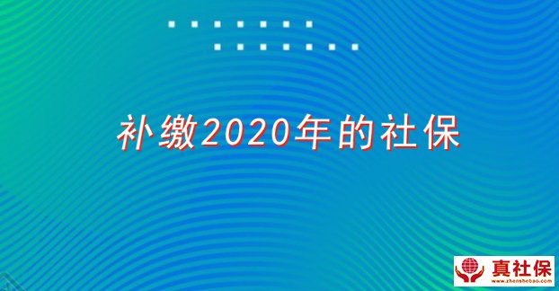 补缴2020年社保