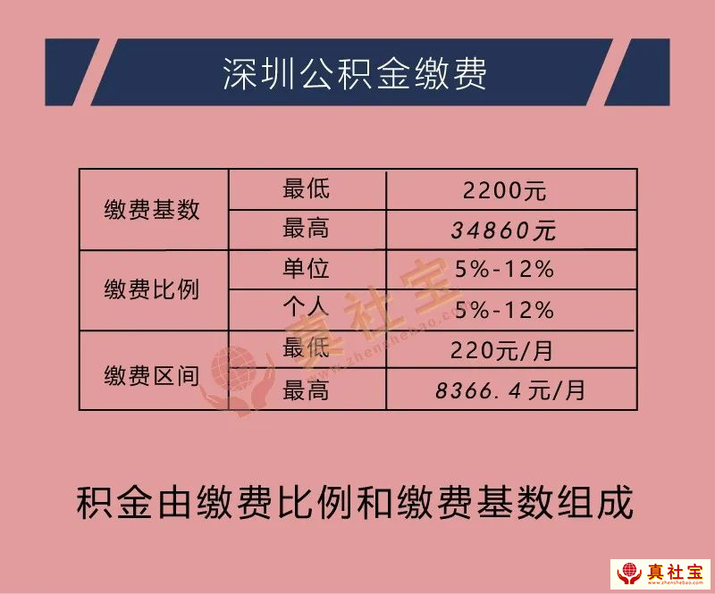 深圳住房公积金缴费明细