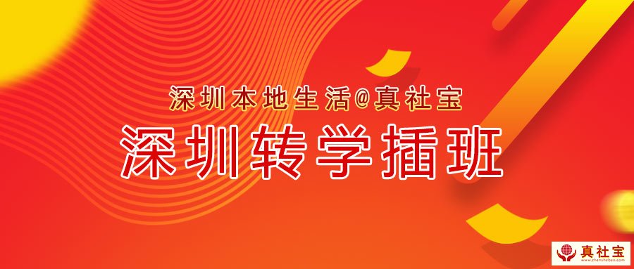 2021年深圳10个区转学插班申请条件政策汇